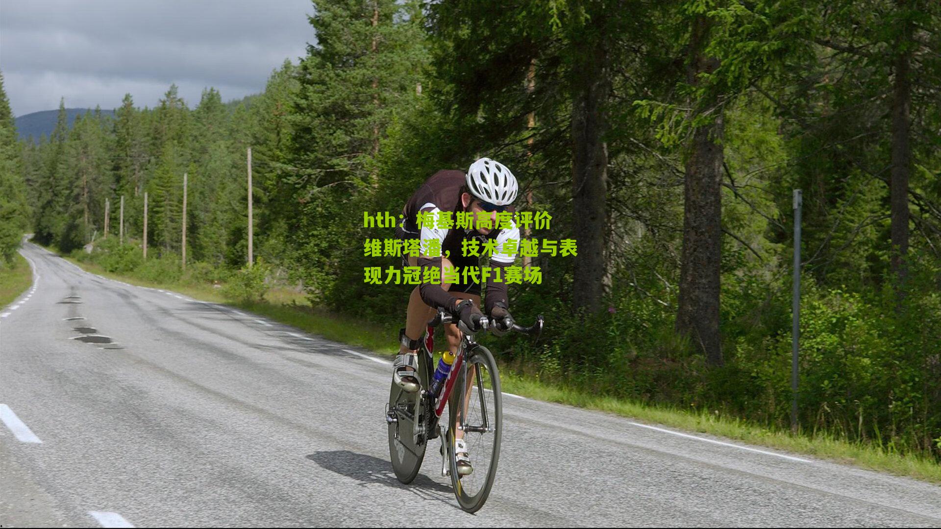 梅基斯高度评价维斯塔潘，技术卓越与表现力冠绝当代F1赛场